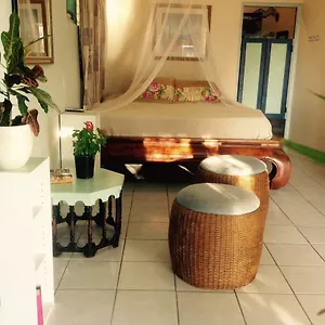  Accommodatie bij particulieren Magical Garden Aruba